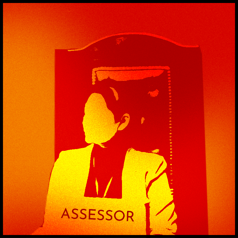 Vietnam - Lay Assessors