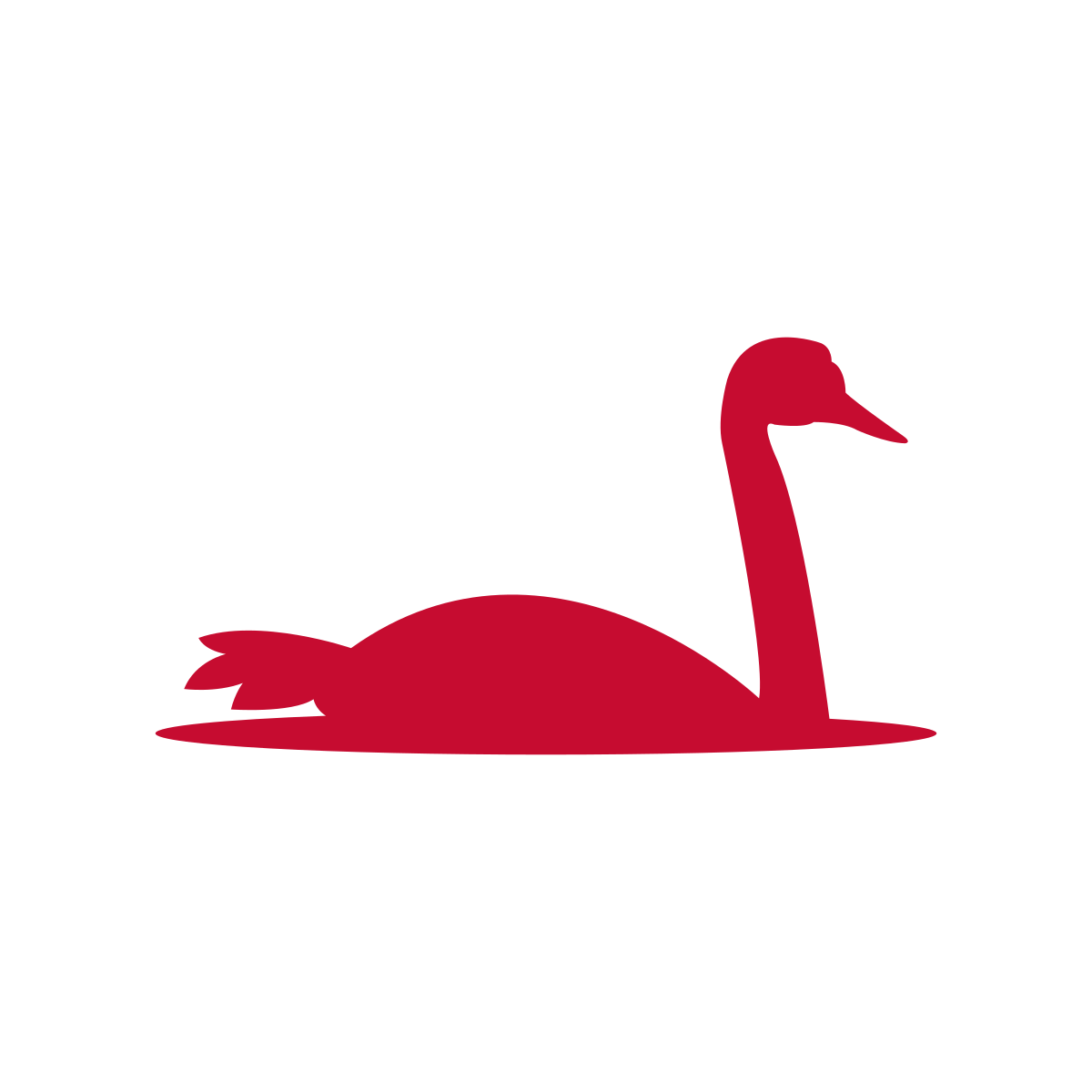 Danish Mute Swan