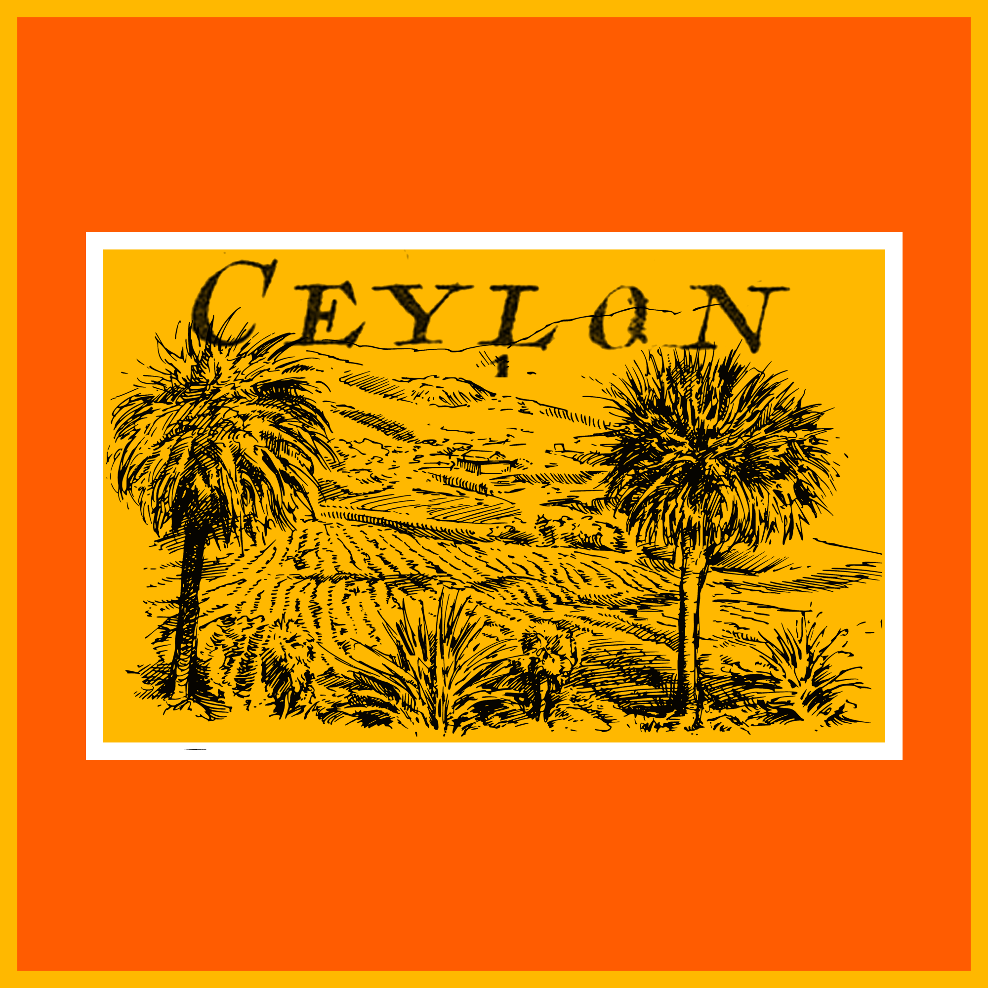 Ceylon Image