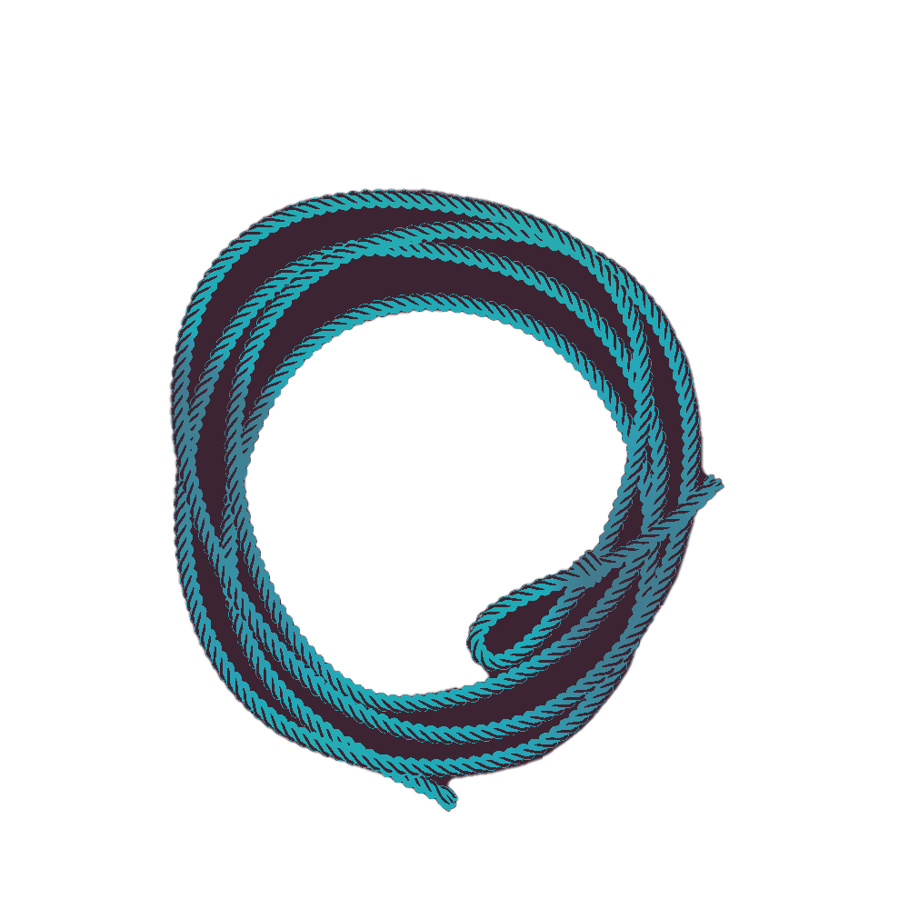 Lasso