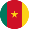 Flag of Cameroon